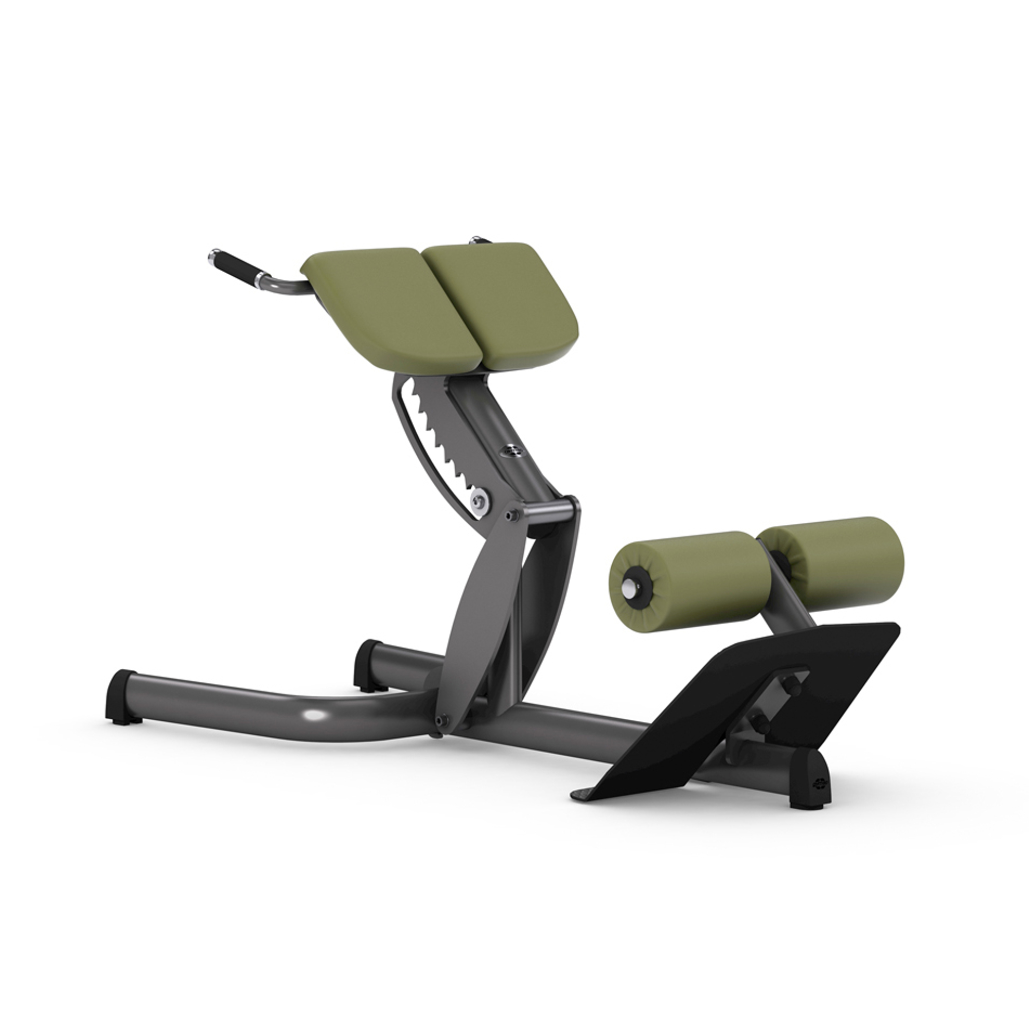 Gym80 45  Back Extension