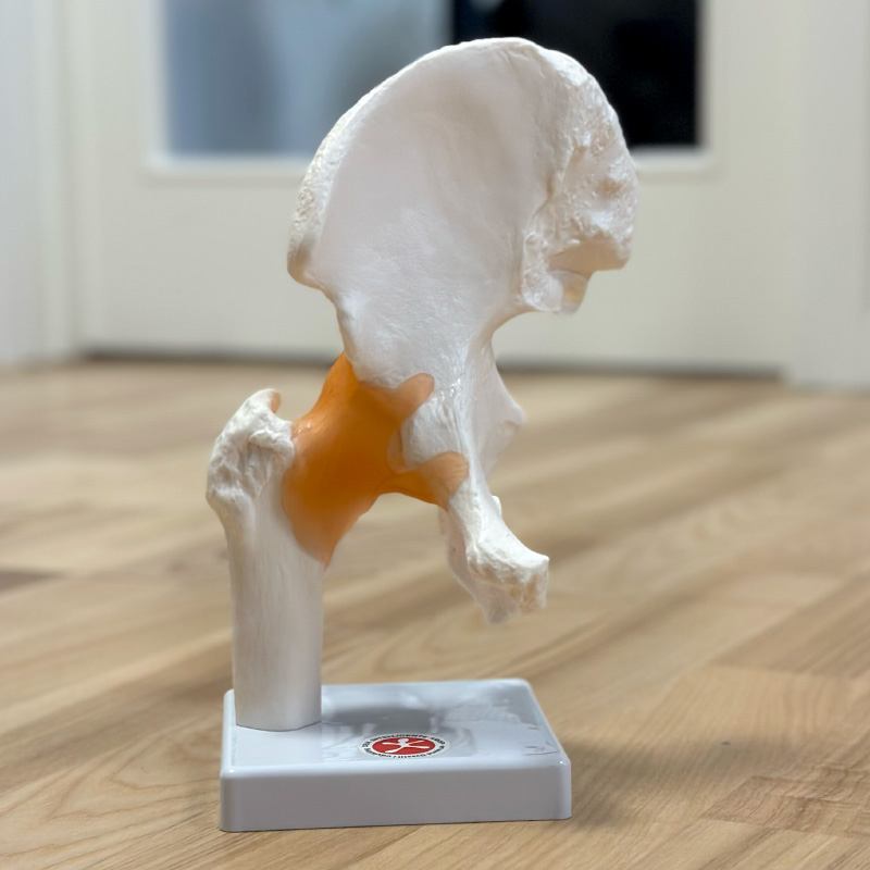 Hofteled Fuld Størrelse