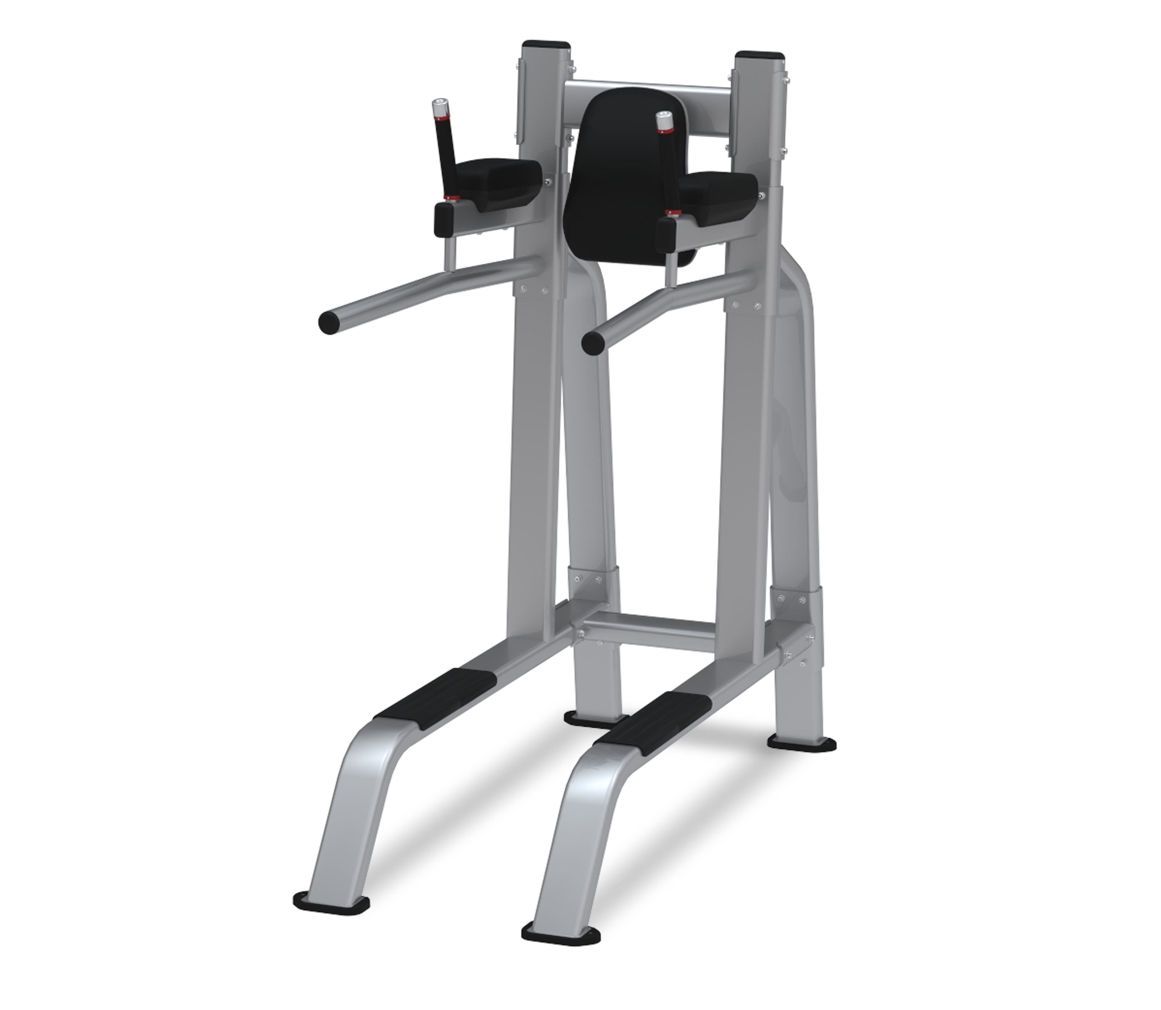 Nautilus Inspiration Leg Raise Dip