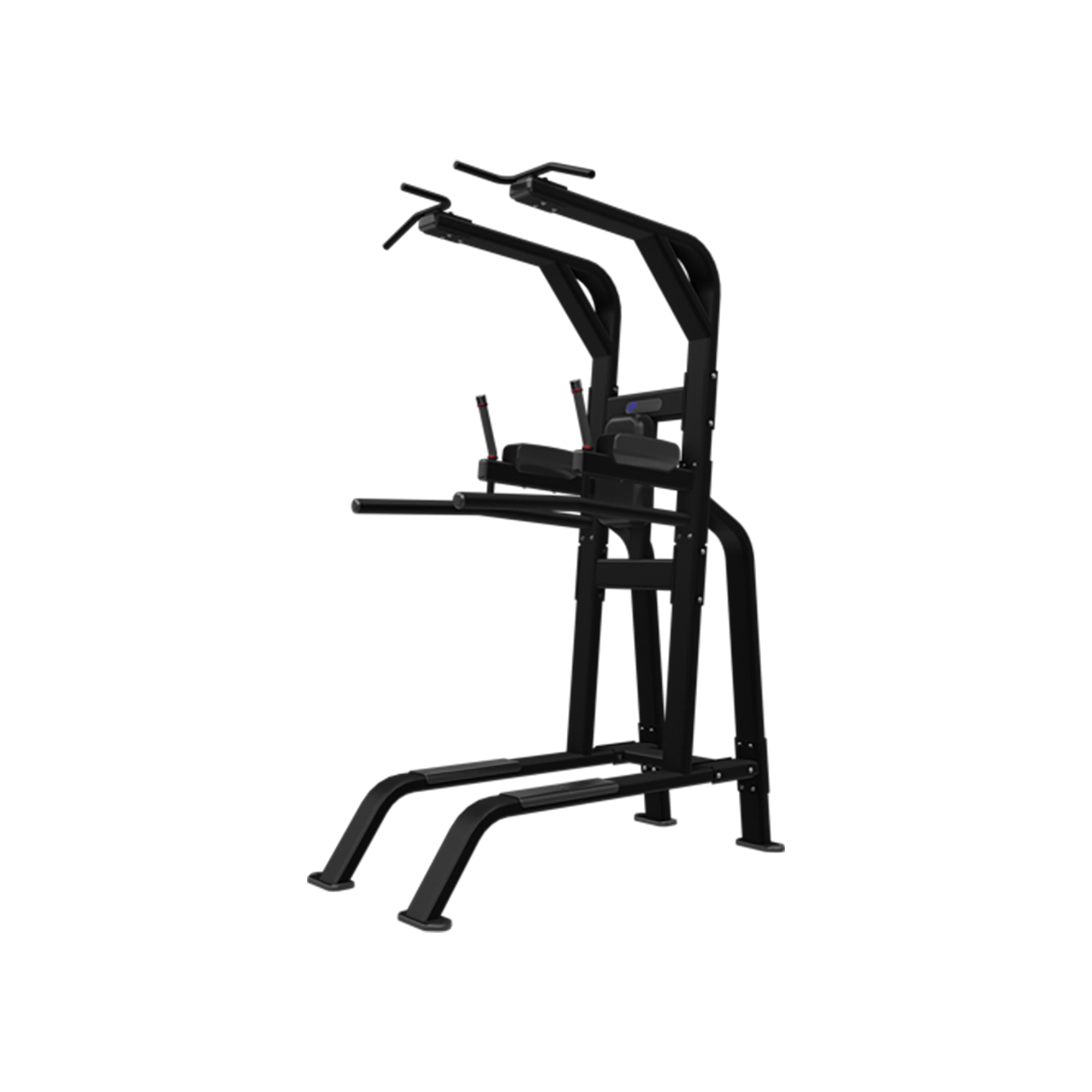 Nautilus Inspiration Pullup Dip Legraise Sort