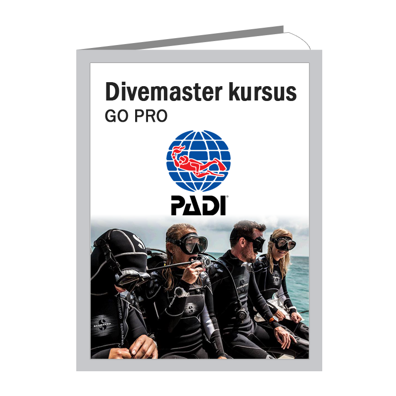 Padi Divemaster
