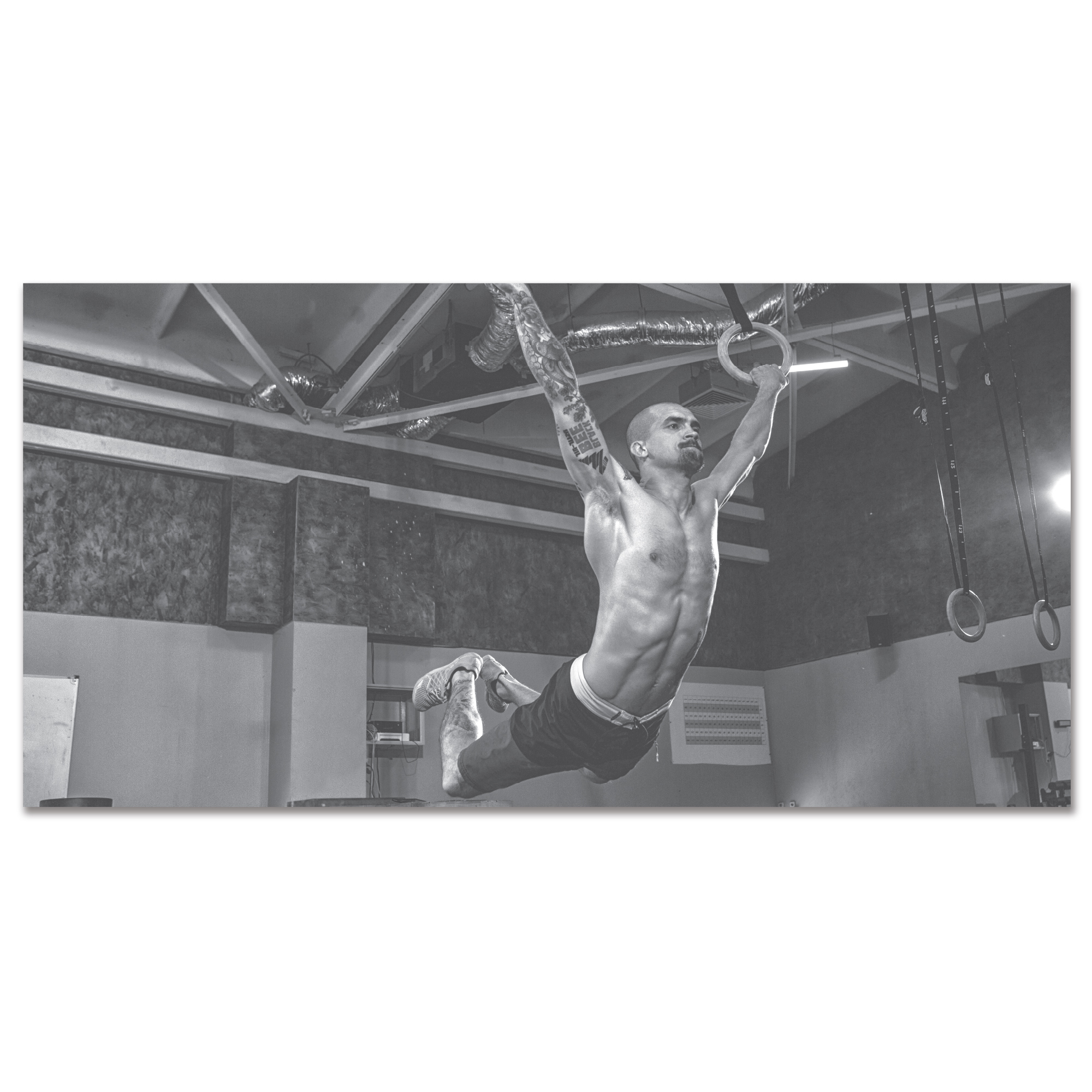 Plakat Ringe 200   100 Cm