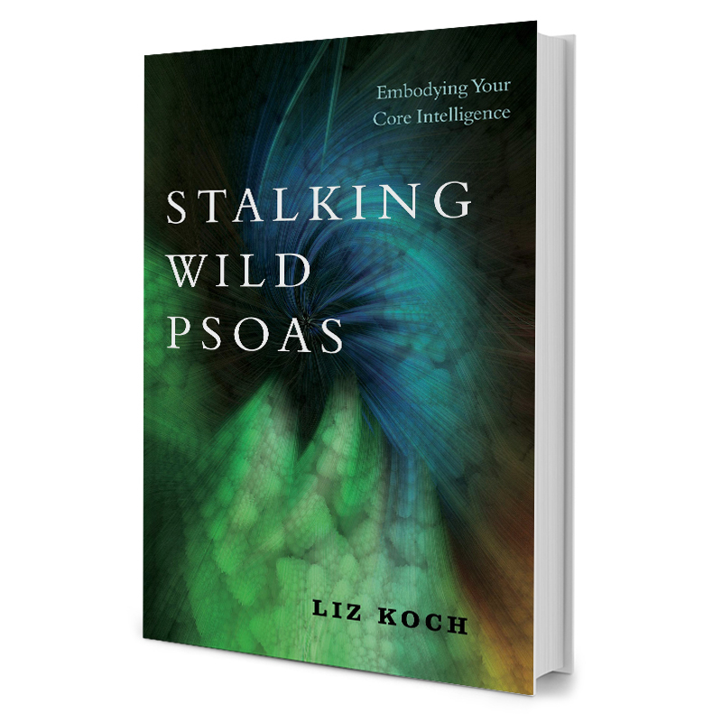 Stalking Wild Psoas Embodying Your Core Intelligence