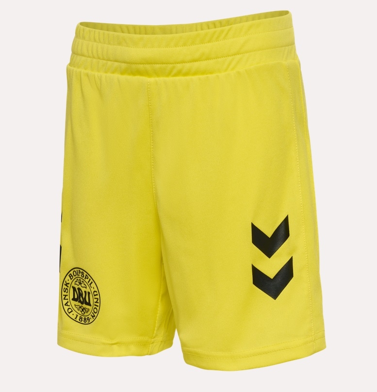 Denmark Goal-keeper Shorts 2024 26 Youth-140
