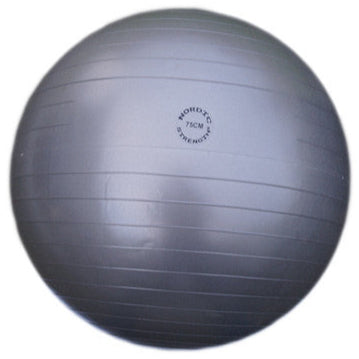 Træningsbold 75 Cm  Grå  Nordic Strength