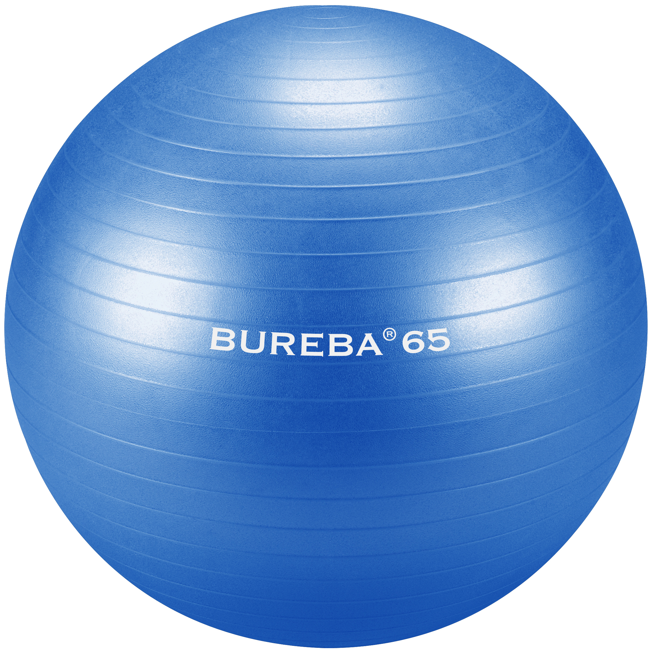 Trendy Swissball 65 Cm Anti Burst