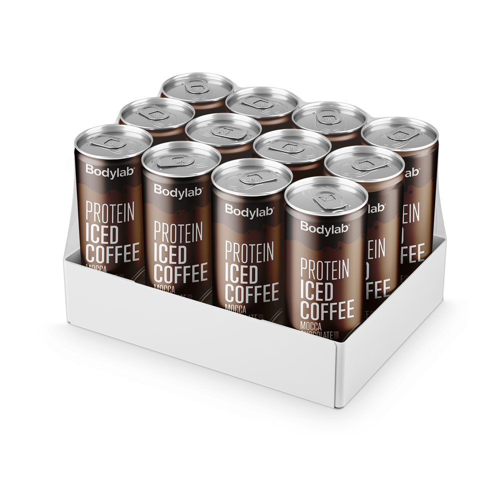 Protein Ice Coffee 12 250 Ml Mocca Chocolate