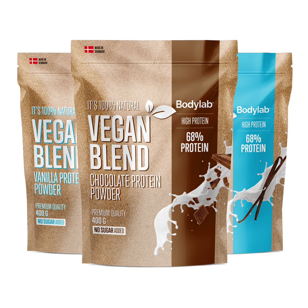 Vegan Protein Blend  400